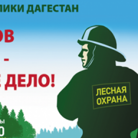 Российская противопожарная служба
